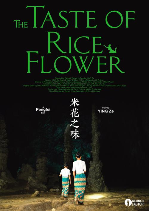 如何办理委托书公证手续